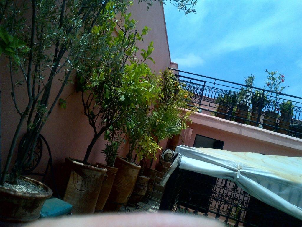 Lila 4* Marrakesch