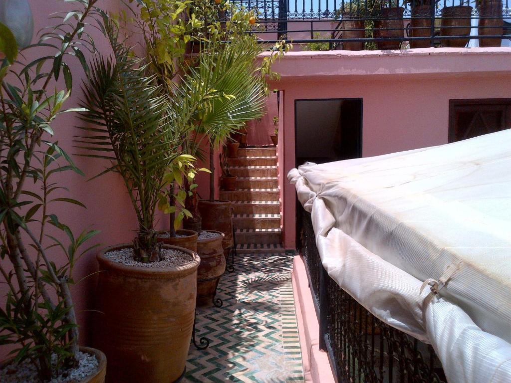 Lila 4*
